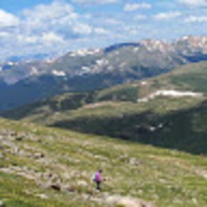 Meet your Posher, Liz